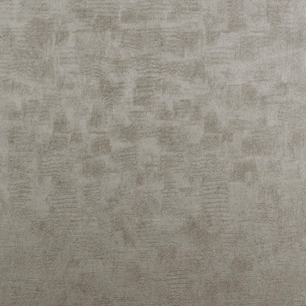 Chinchilla