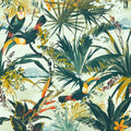 Toucan