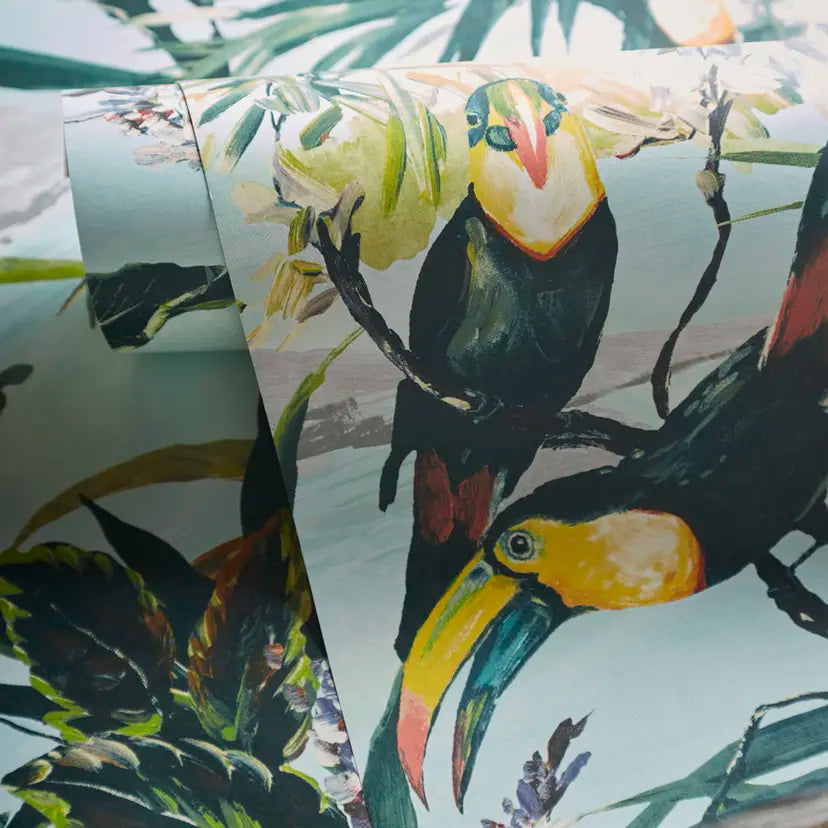 Toucan
