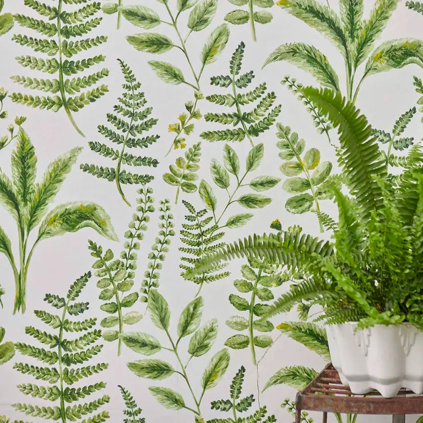 Bracken