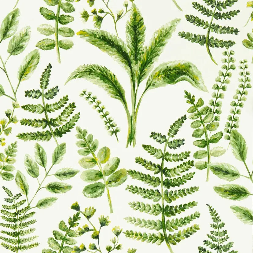 Bracken