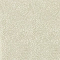Corallino