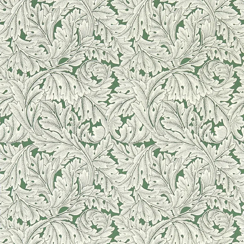 Acanthus