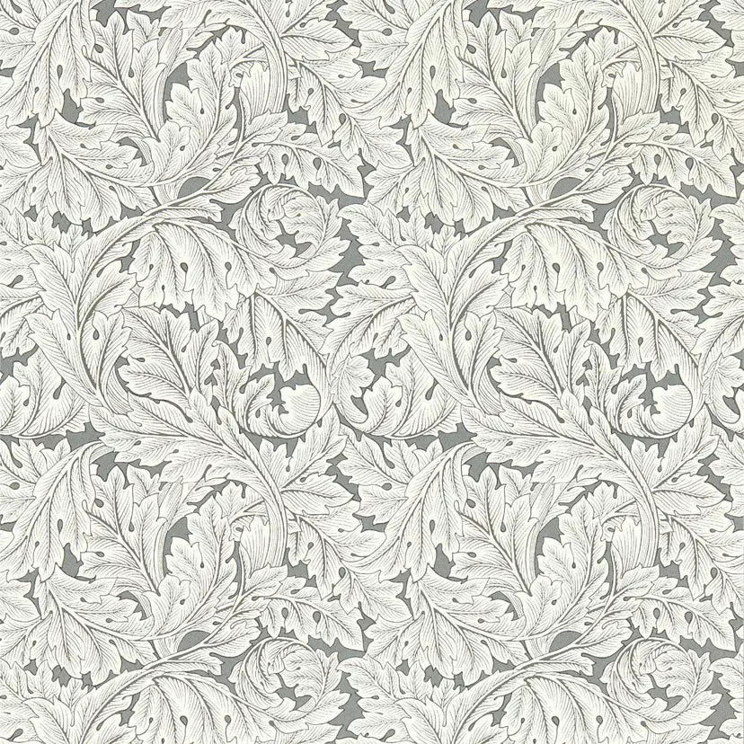 Acanthus