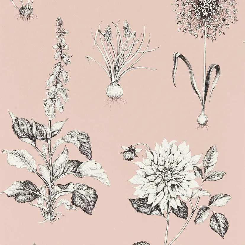 Roseraie