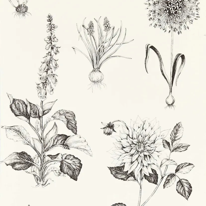 Roseraie