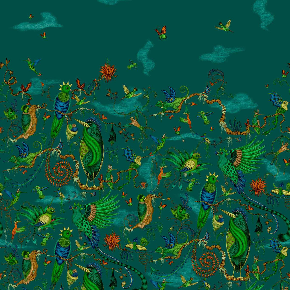 Cloud Forest