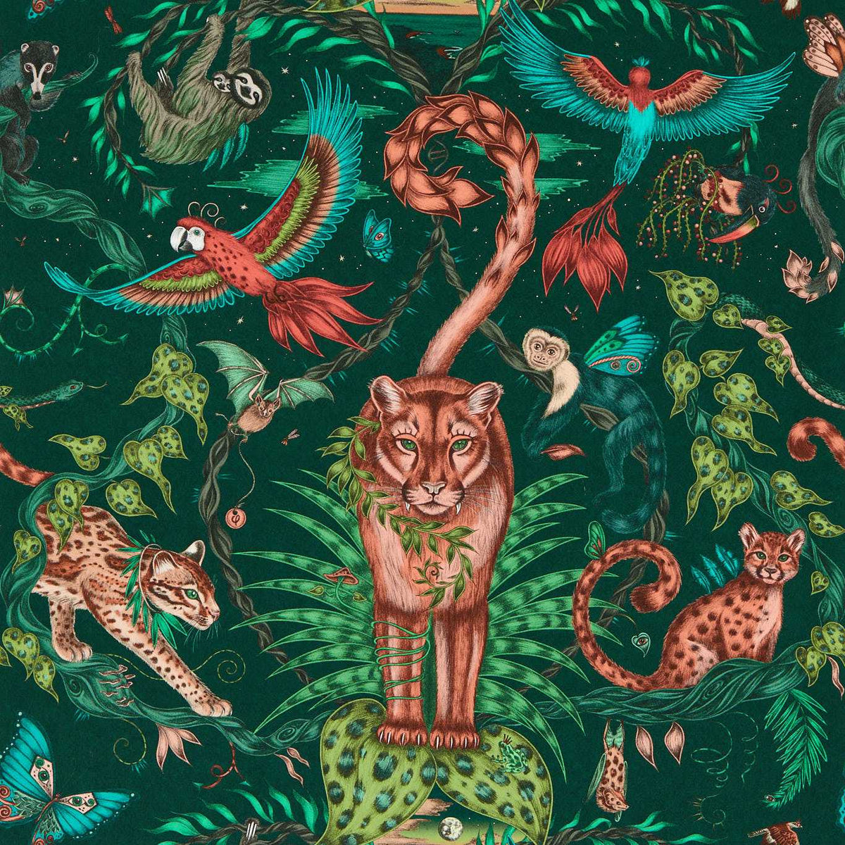Bosque Dreams