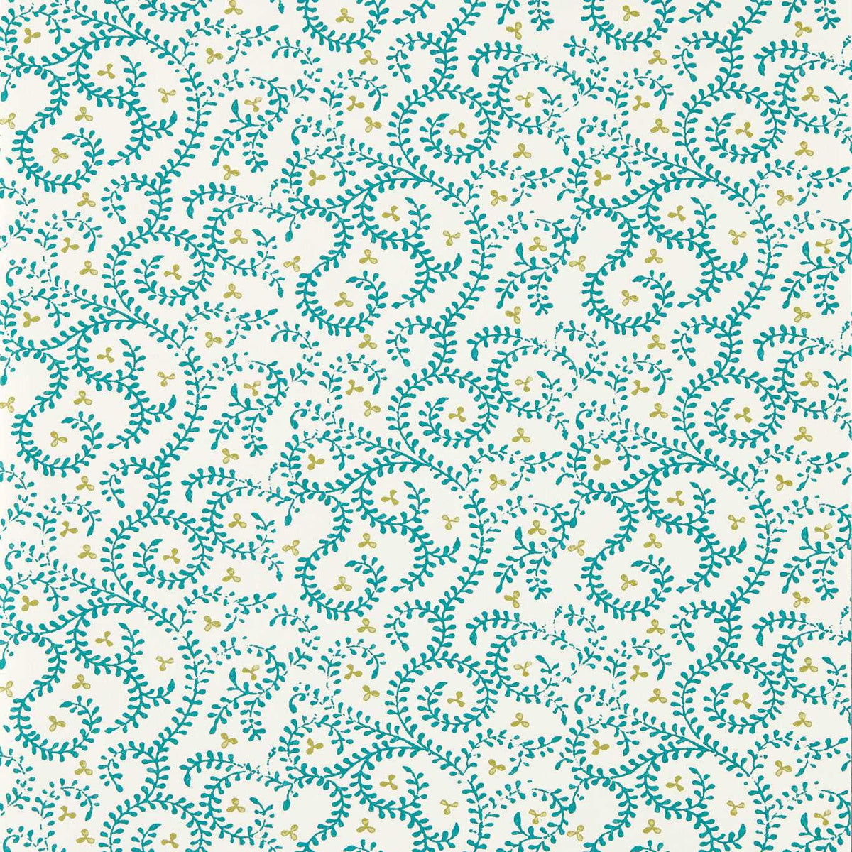 Buta